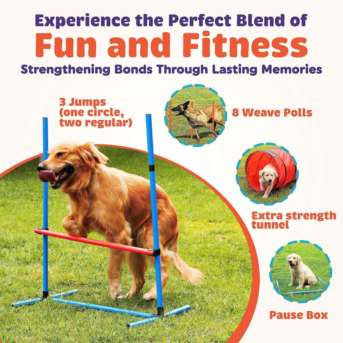 15 Piece Dog Agility Course Backyard Set  Dog Agility Training.