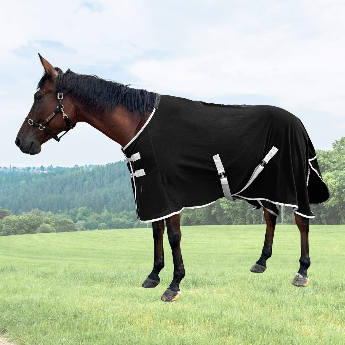 72-Inch Fleece Horse Blanket - Black
