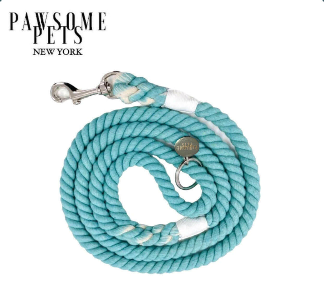 ROPE LEASH - CANAL