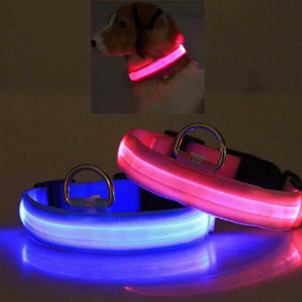 LED PET Safety Halo Style Collar.