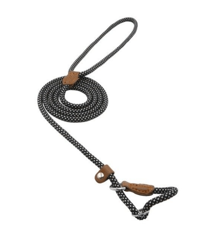 Adjustable Nylon &amp; PU Leather Dog Collar and Leash Set