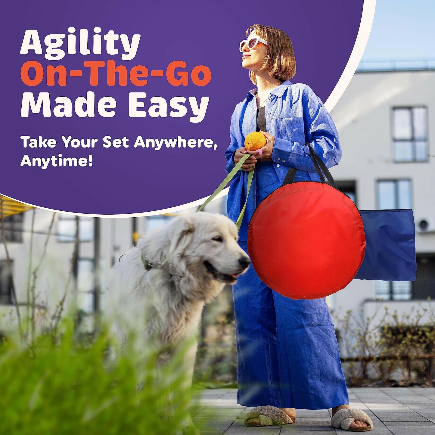 15 Piece Dog Agility Course Backyard Set  Dog Agility Training.