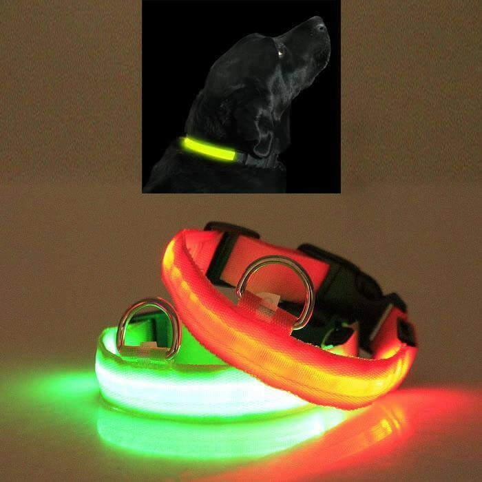 LED PET Safety Halo Style Collar.