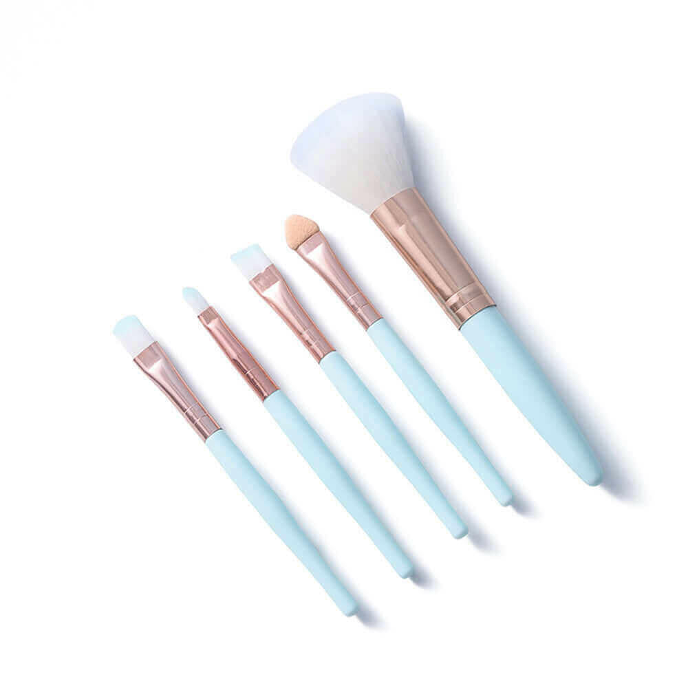 5pcs Makeup Brush Set Beginner Beauty Tools Makeup.