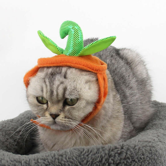 Halloween Pet Cats Costume Props Creative Pumpkin.