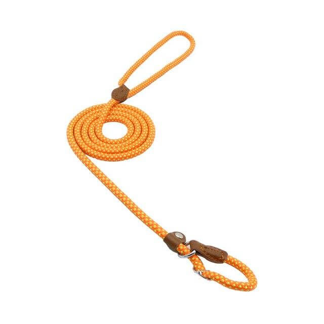 Adjustable Nylon &amp; PU Leather Dog Collar and Leash Set