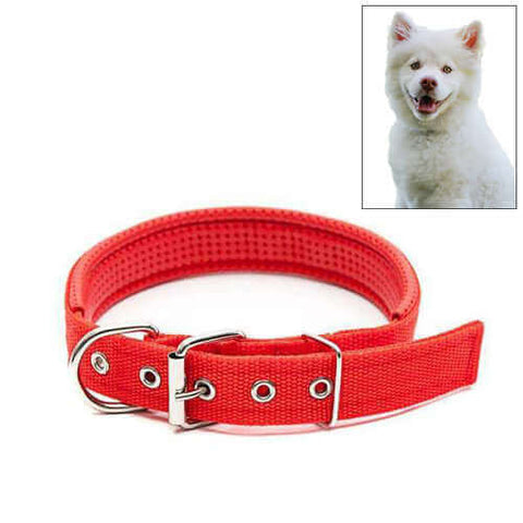 Adjustable Dog Collar with Metal D Ring & Buckle Pet Collars Neck Stra
