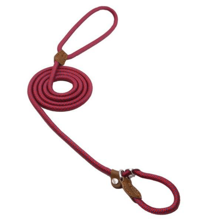 Adjustable Nylon &amp; PU Leather Dog Collar and Leash Set