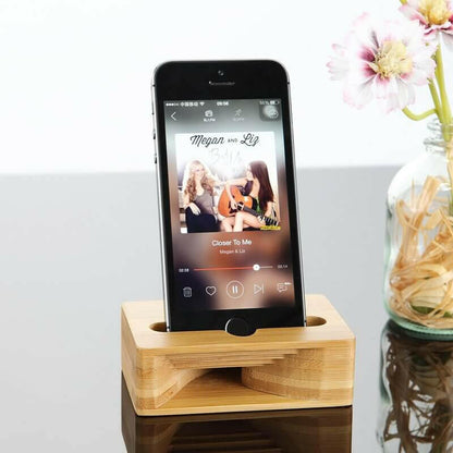 Bamboo iPhone Speaker Dock.