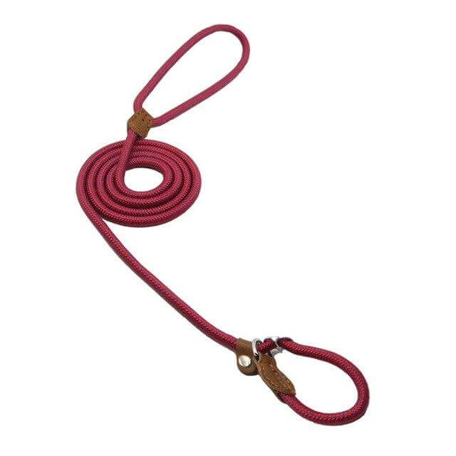 Adjustable Nylon &amp; PU Leather Dog Collar and Leash Set