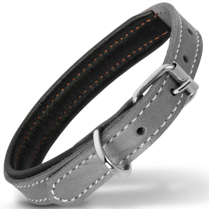 Filbert Padded Leather Dog Collar - Gray, Small