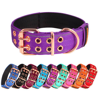 Yunleparks Reflective Padded Dog Collar - Purple, X-Large