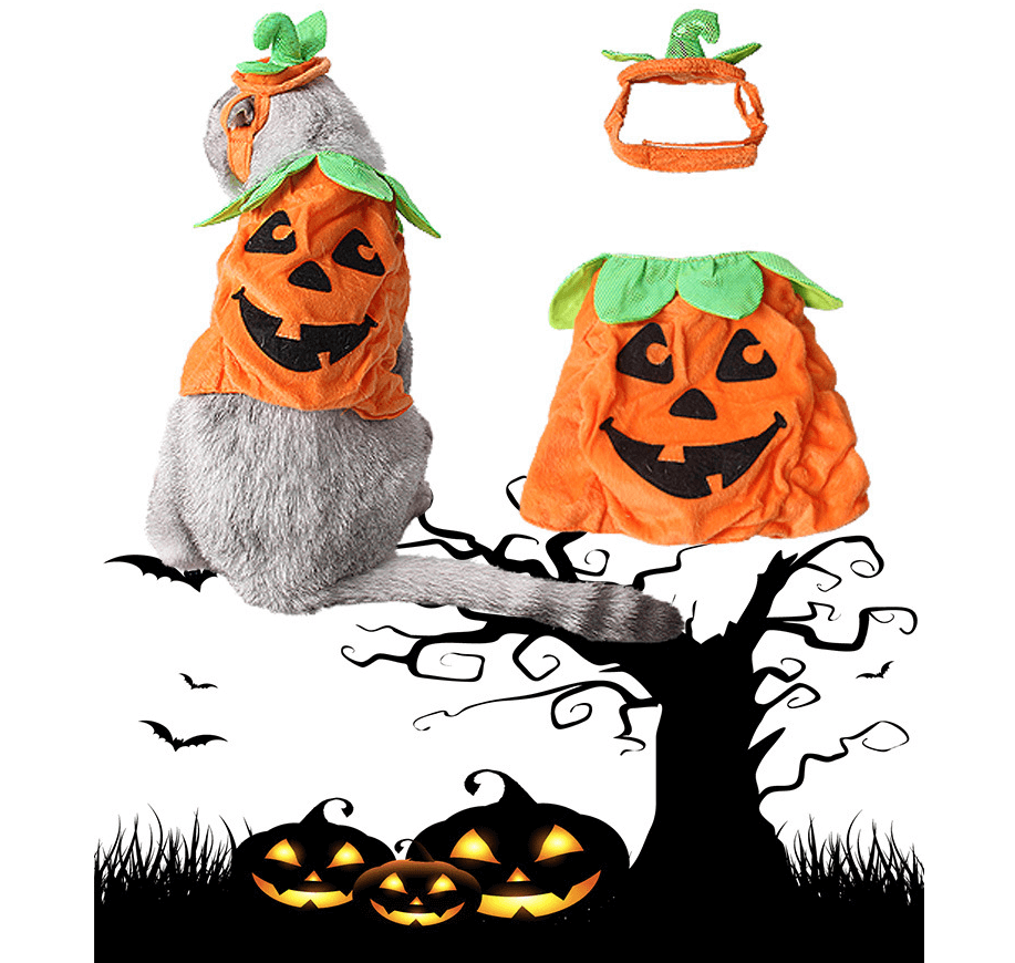 Halloween Pet Cats Costume Props Creative Pumpkin.