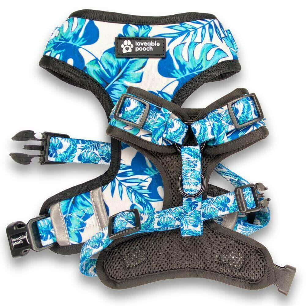 Beach Vibes Dog Harness &amp; Leash Set