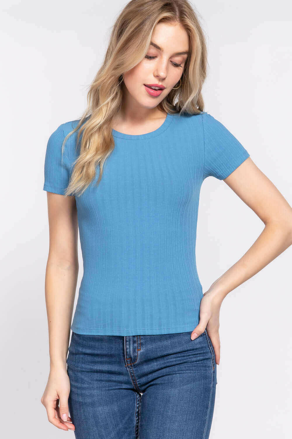 Short Slv Crew Neck Variegated Rib Knit Top