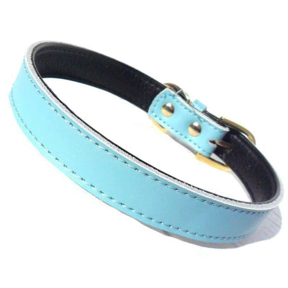 Plain Chelsea Dog Collars (4 sizes) 8-16".