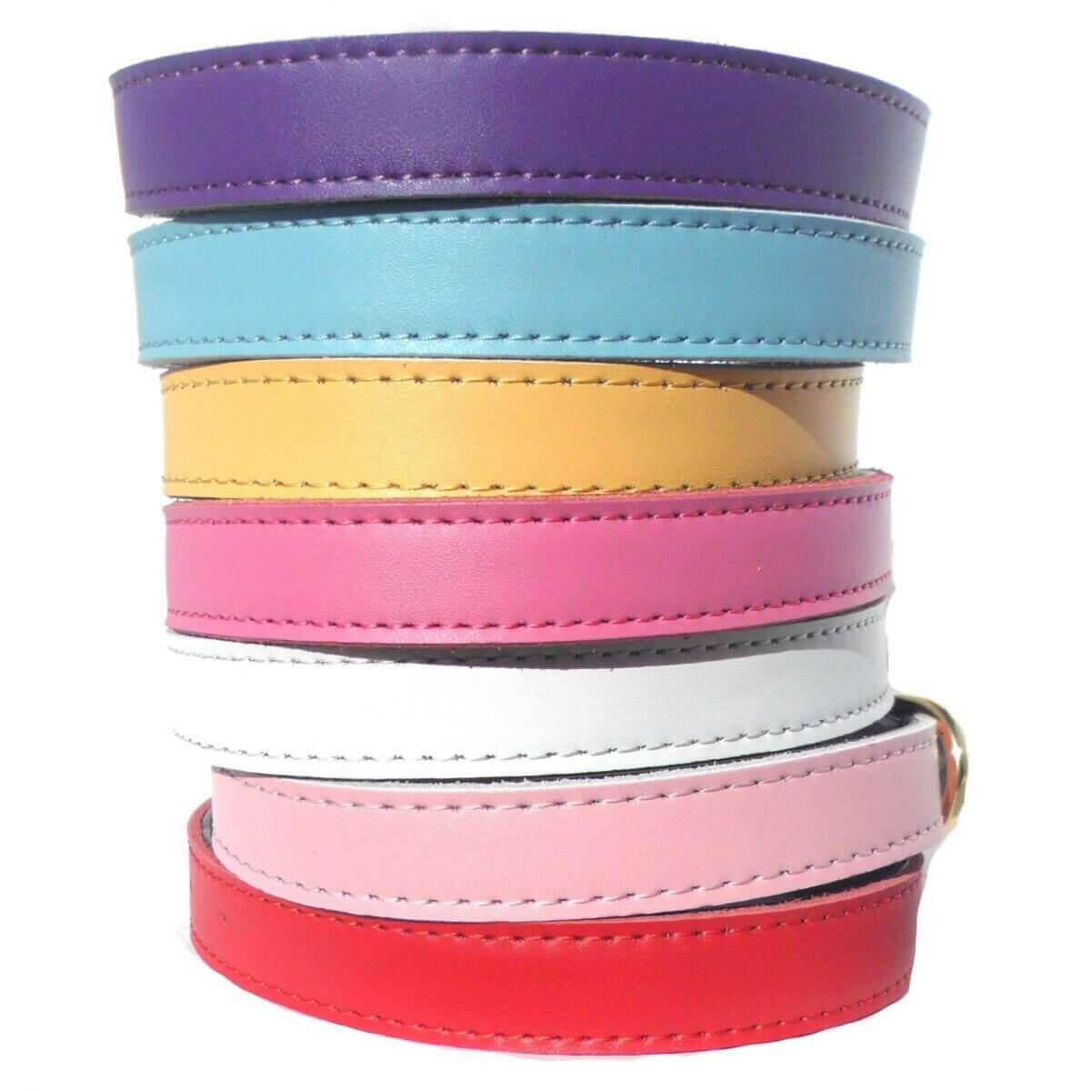 Plain Chelsea Dog Collars (4 sizes) 8-16".