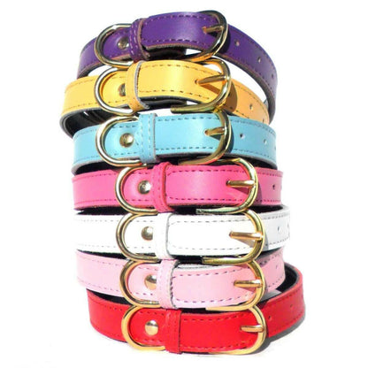 Plain Chelsea Dog Collars (4 sizes) 8-16".