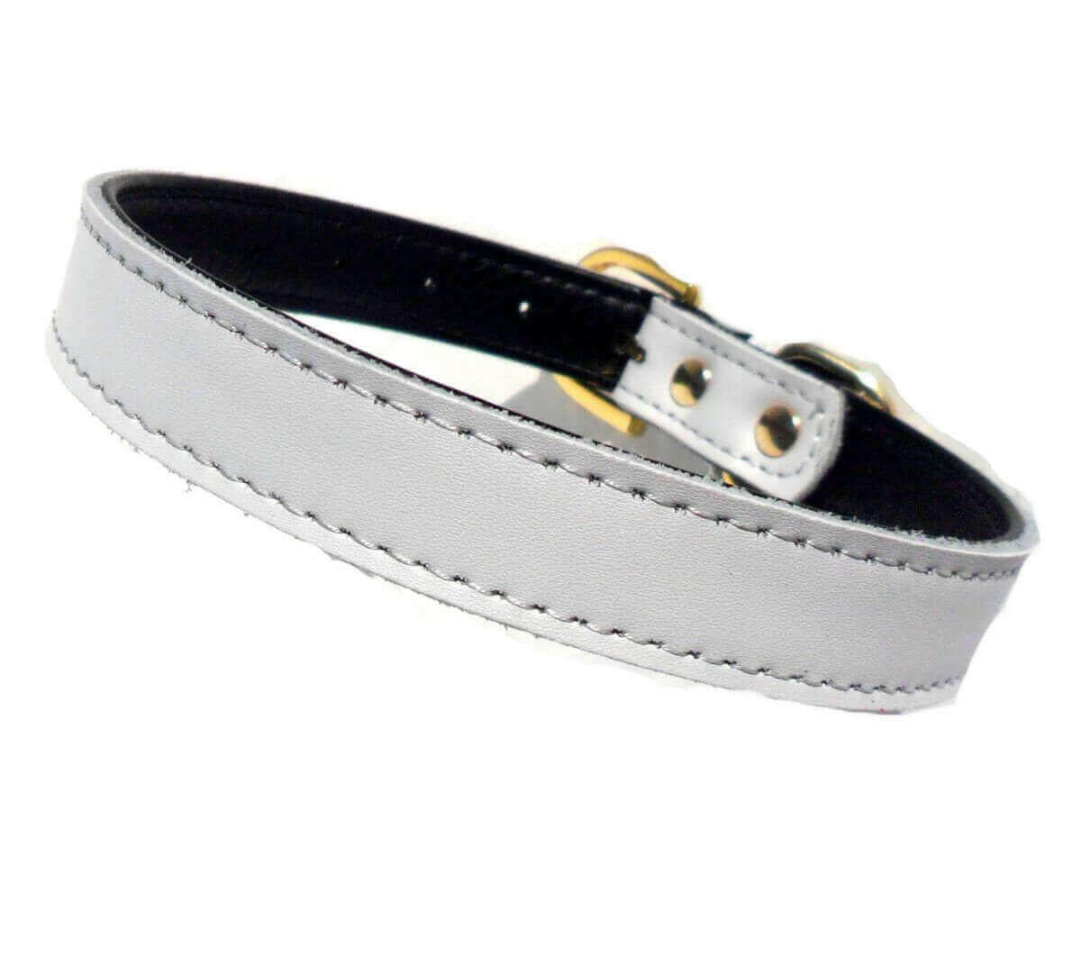 Plain Chelsea Dog Collars (4 sizes) 8-16".