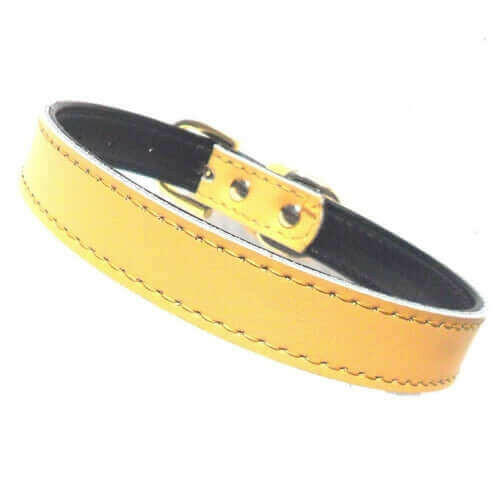 Plain Chelsea Dog Collars (4 sizes) 8-16".