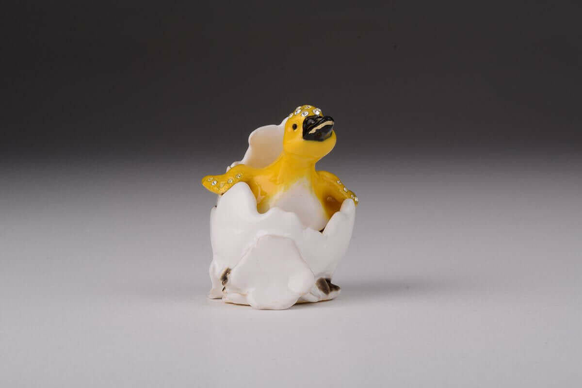 Duck Coming out of Eggshell.