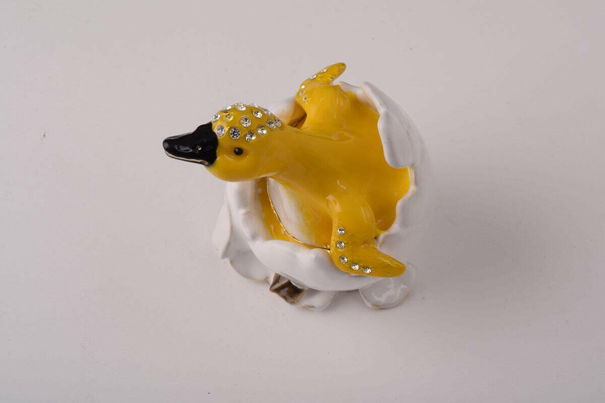 Duck Coming out of Eggshell.