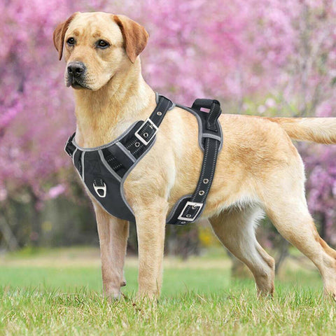 Durable Reflective Pet Dog Harness Vest with.