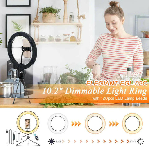 10" Table Top Selfie LED Lamp.