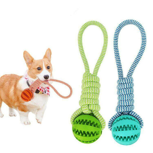 Durable Rubber Ball Chew Toy with Cotton Rope.