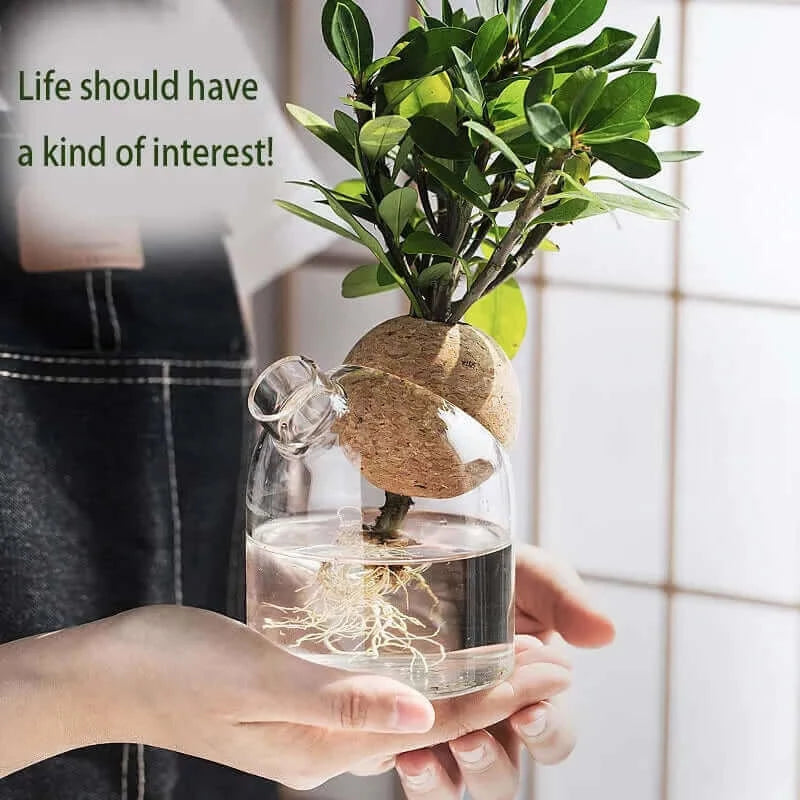 Simple glass vase transparent hydroponic plant flower apparatus modern