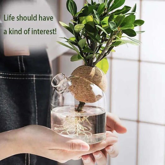 Simple glass vase transparent hydroponic plant flower apparatus modern.