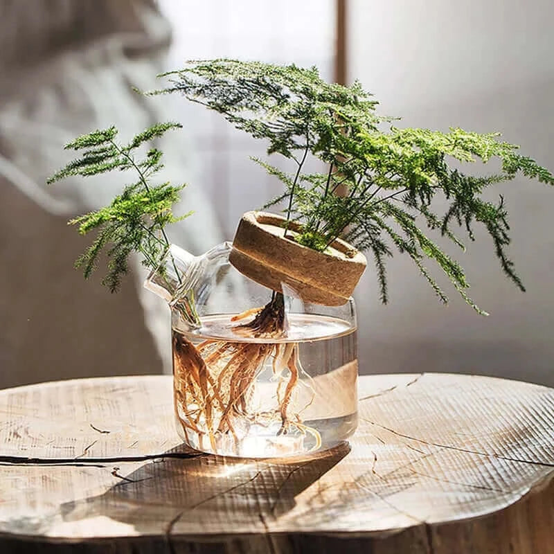 Simple glass vase transparent hydroponic plant flower apparatus modern