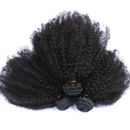 BeuMax 10A Grade 3/4 Afro Kinky Curly Bundles with 4x4 Closure.