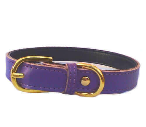 Plain Chelsea Dog Collars (4 sizes) 8-16".