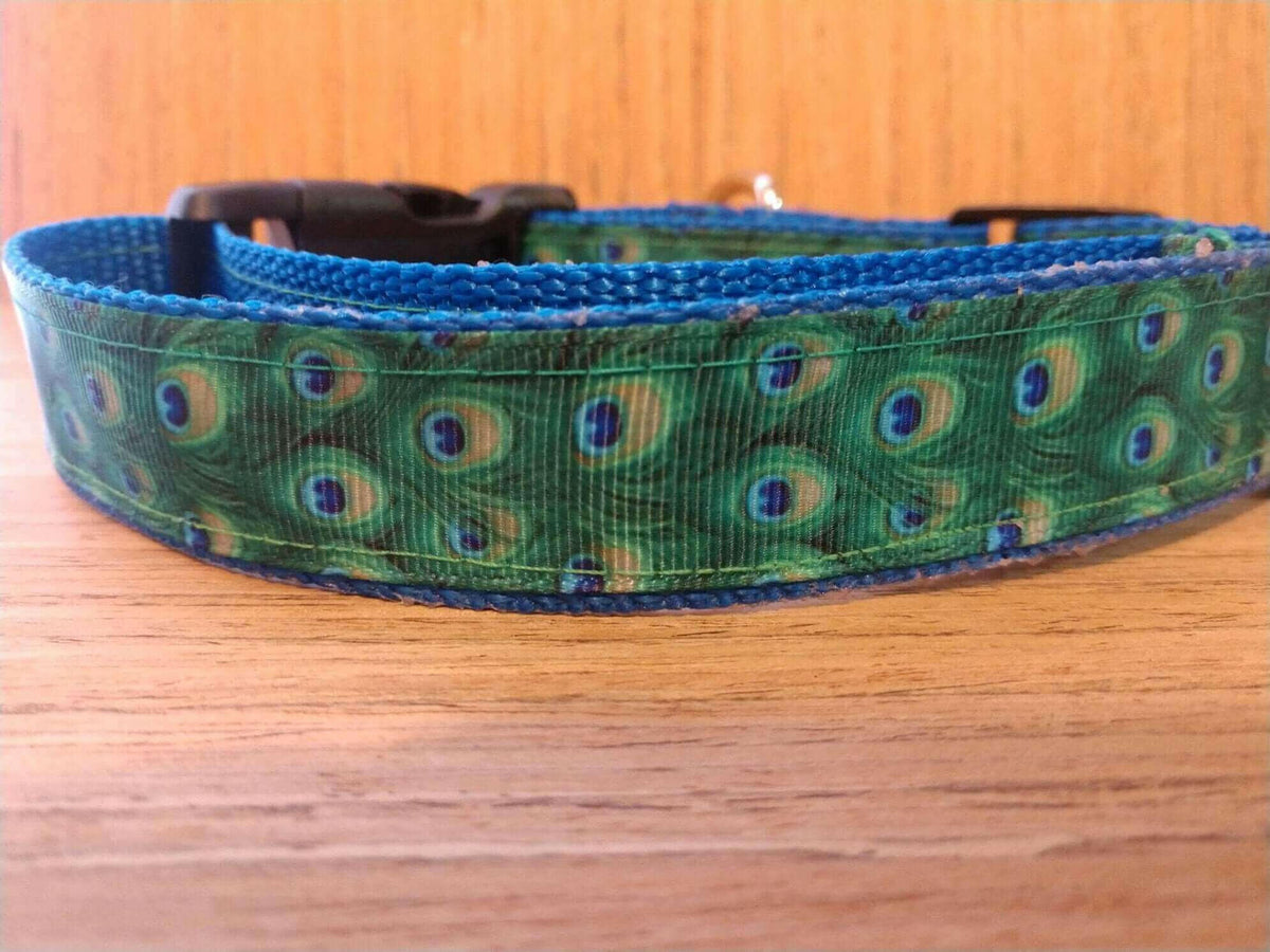 Collar/ Large/ Medium/ Peacock on Blue.