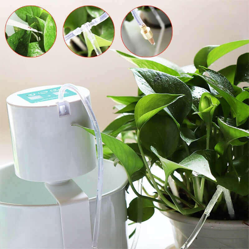 Automatic Garden Watering Device.