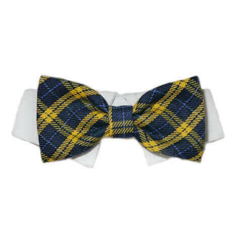 Bruce Bow Tie.