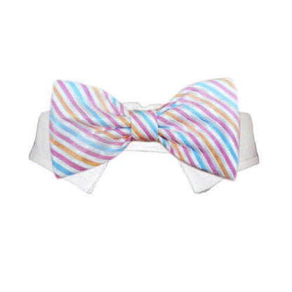 Morgan Bow Tie.