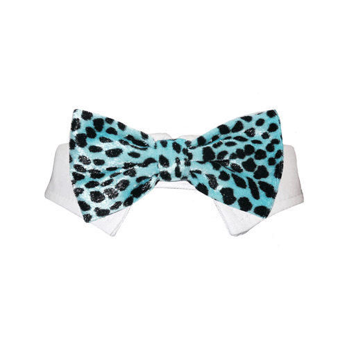 Roberto Bow Tie - Aqua.