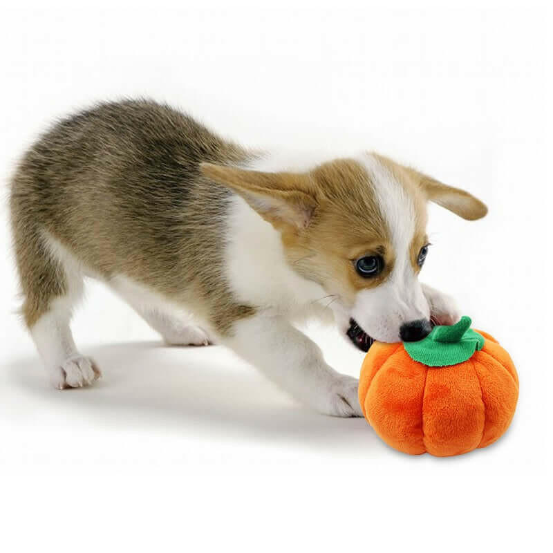 Pet Cat Toy Plush Bite Chew Toys For Cat Cite