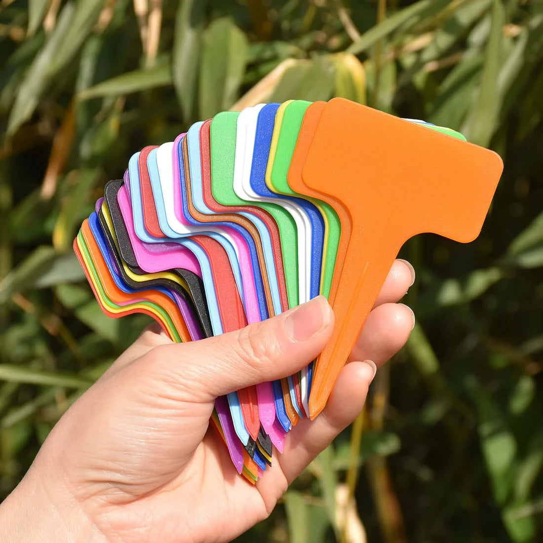 30PCS T-Shape Plastic Waterproof Plant Tags Marker Sign 59*98mm Flower