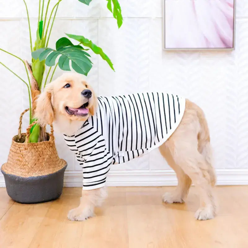 Stylish Dog Summer Striped T-shirt for Large Dogs