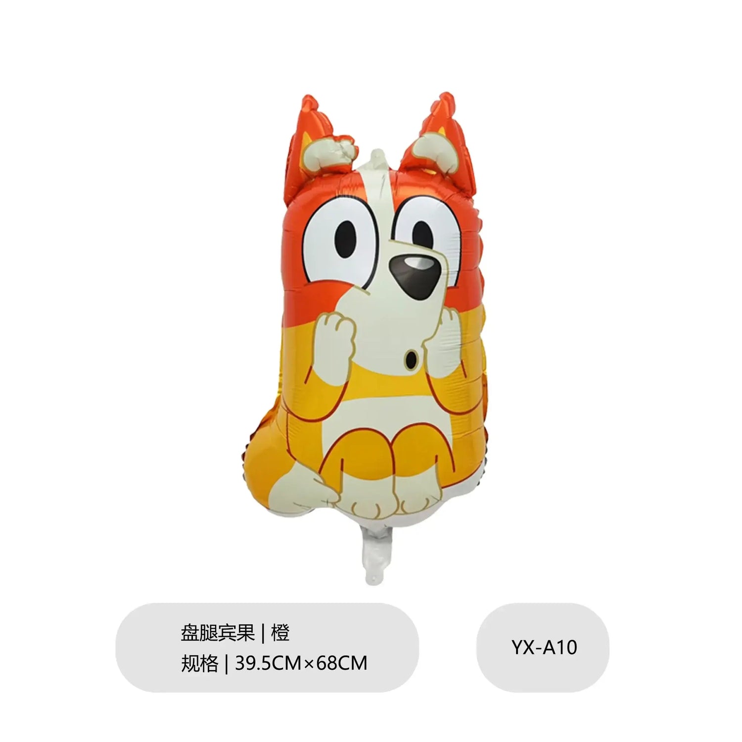 bluey Balloon Children&