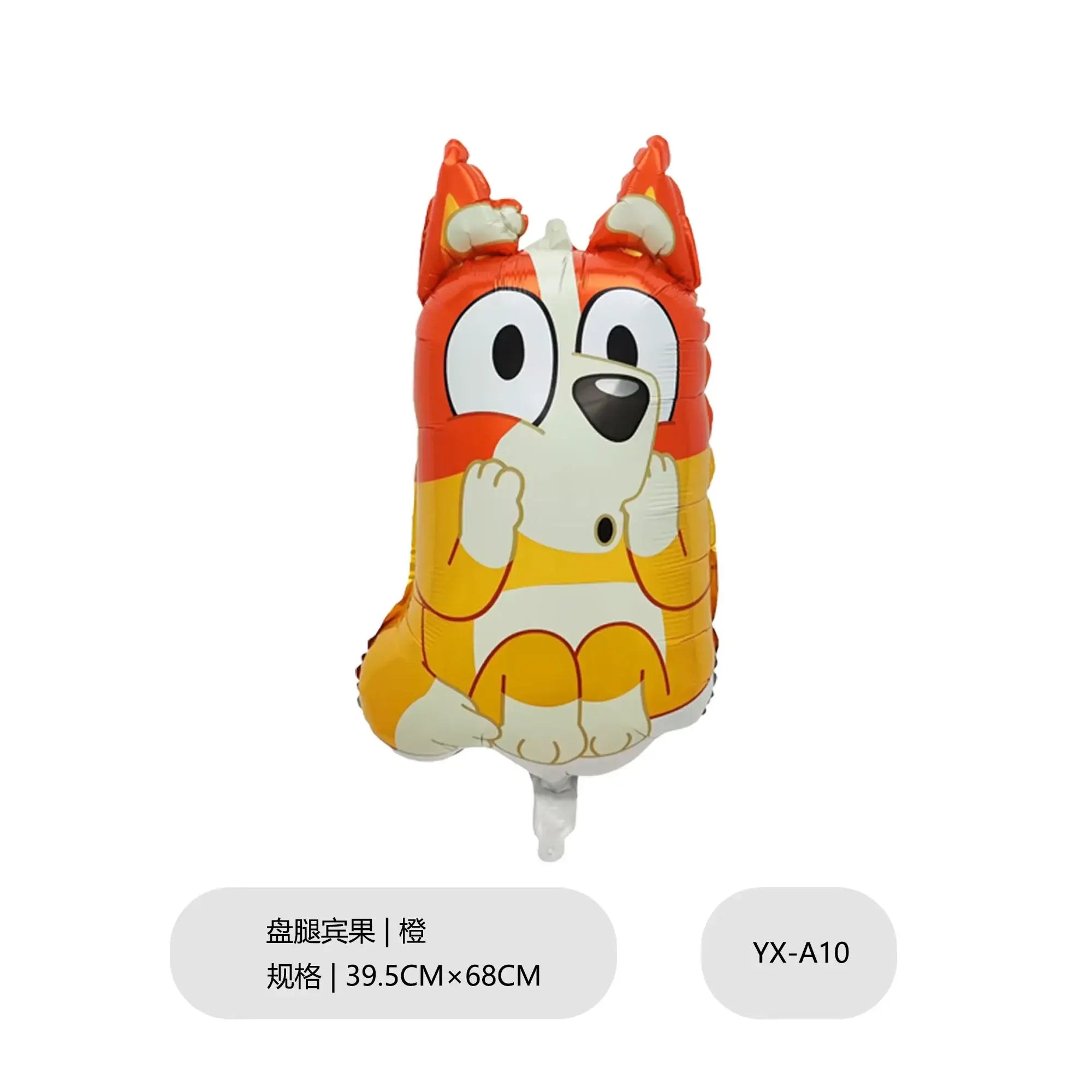 bluey Balloon Children&