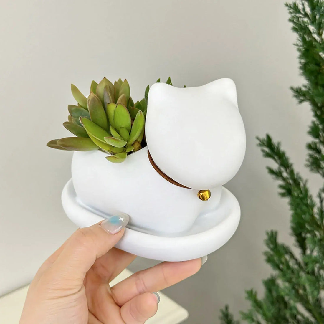 cute cat succulent plant pots