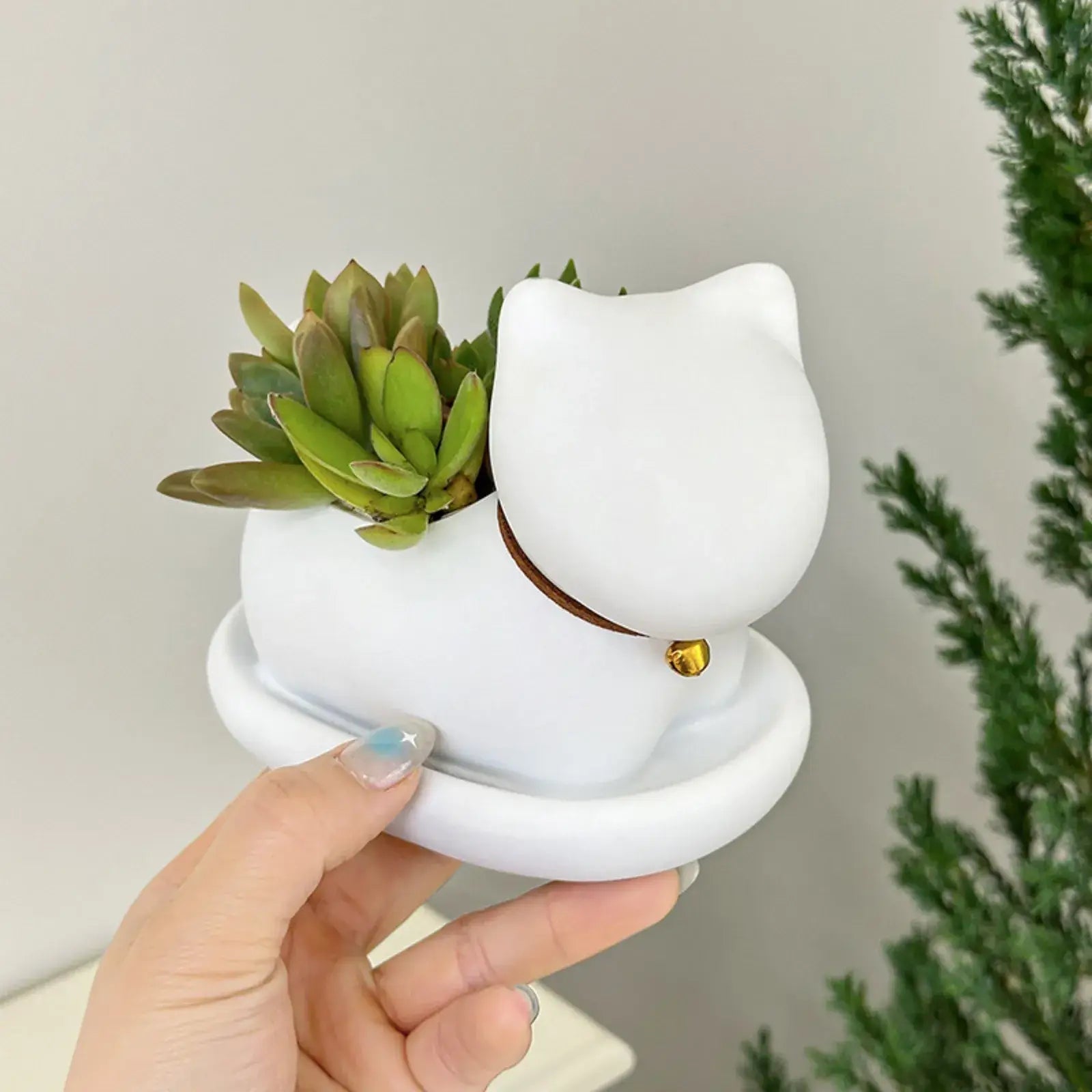 cute cat succulent plant pots