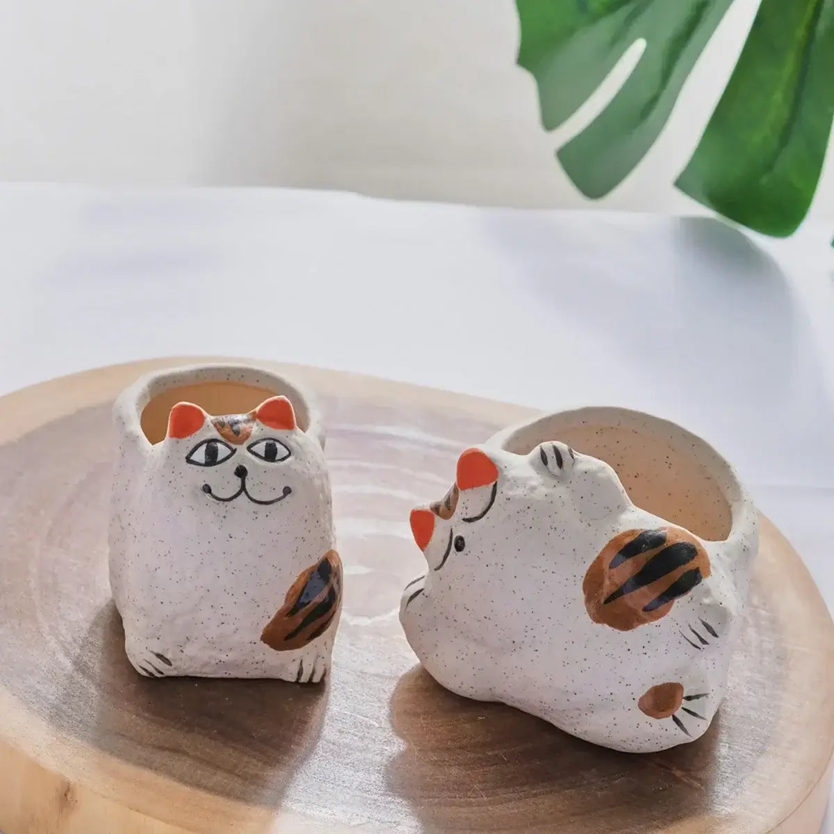 fortune cat succulent flower pot