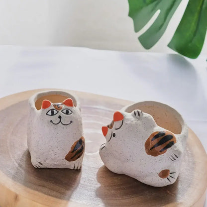 fortune cat succulent flower pot