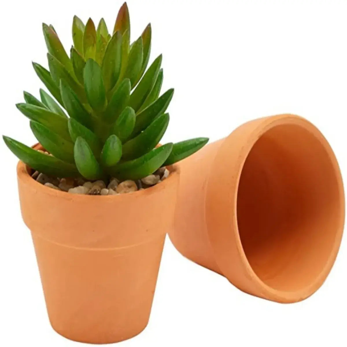 terra cotta pots for succulents