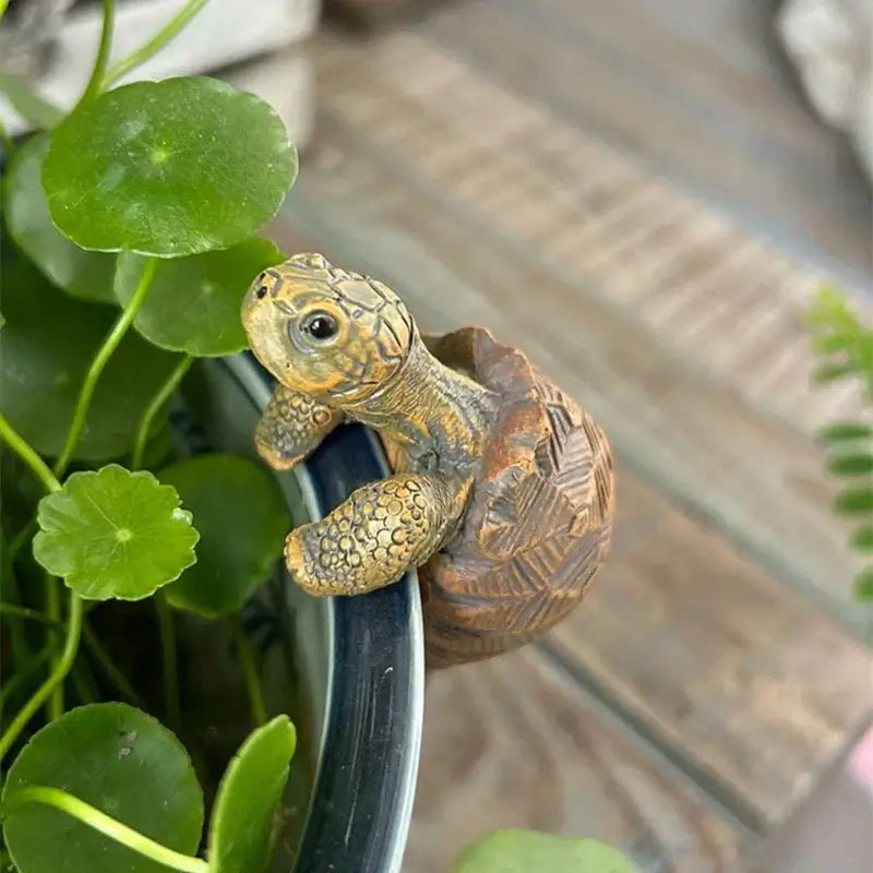 tortoise flower pot hugger statue